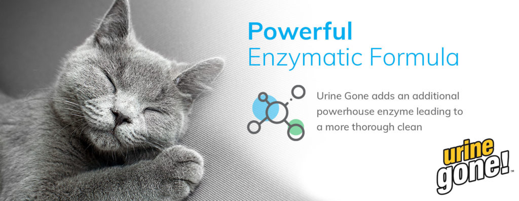 UrineGone is a powerful enzymatic formula that helps neutralize pet urine at the site